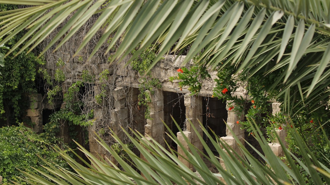 Tropy Zaginionych Cywilizacji: Tajemnicze Ślady Historii