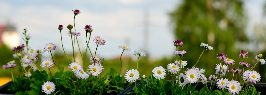 Jak dbać o florę bakteryjną?